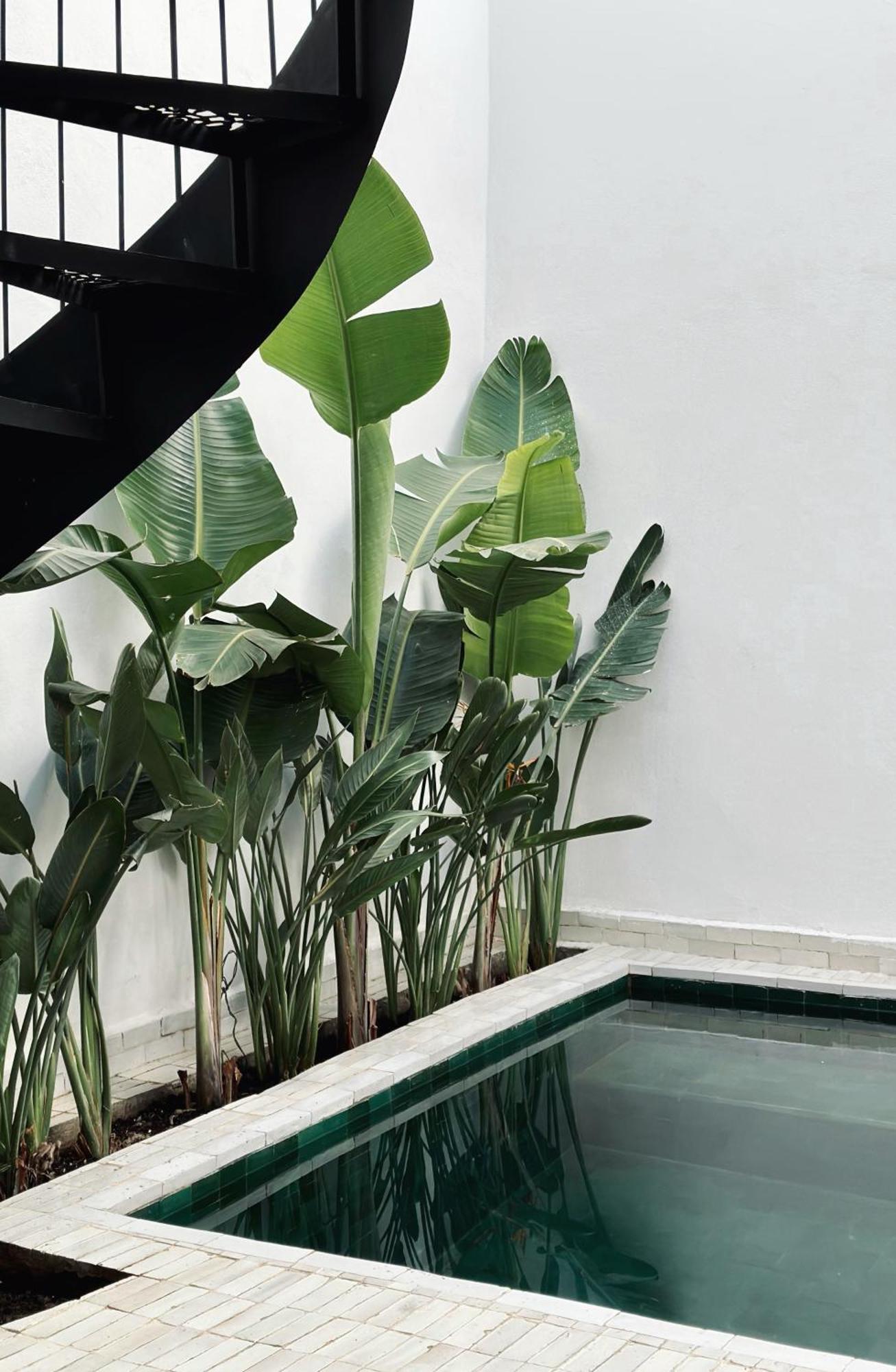 Holiday home De L'o With Pool, Rooftop, Free Breakfast *